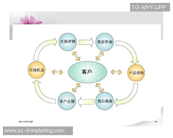 深入分析北京排球队的运营策略与市场推广模式