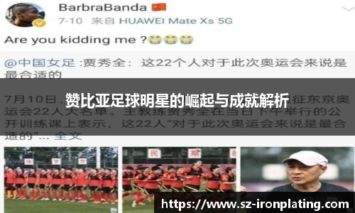 赞比亚足球明星的崛起与成就解析